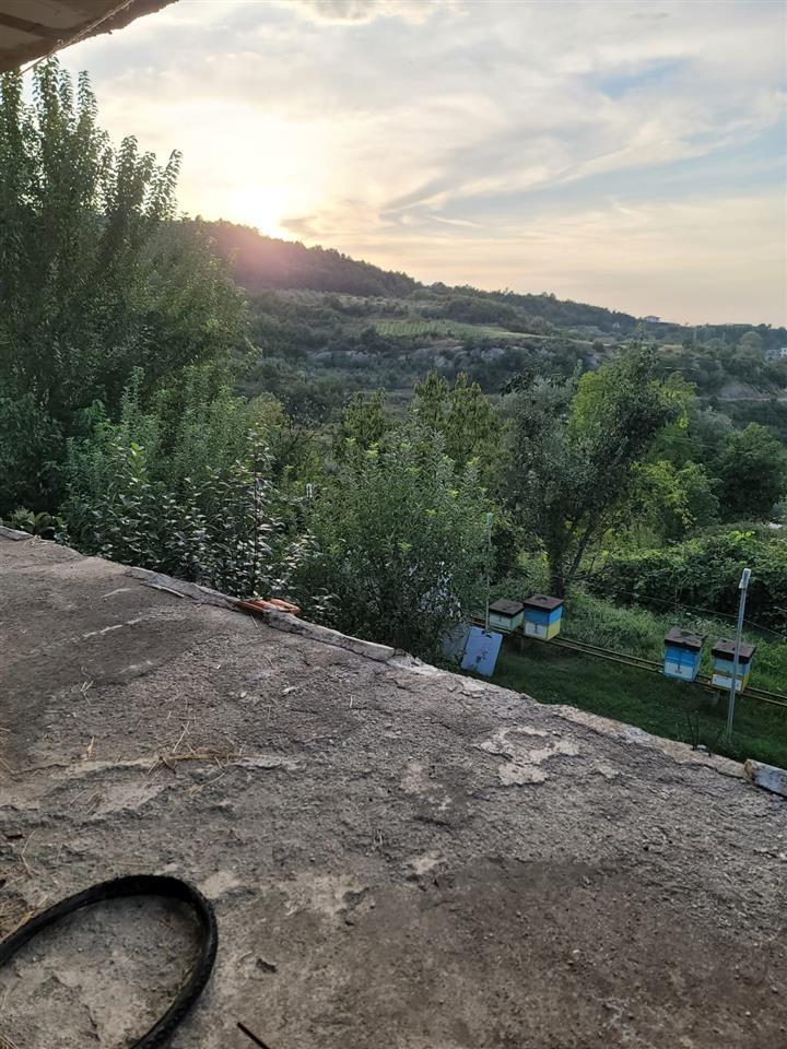 🟢 VENDESI CASA + 1250m² TERRENO, HEKAL!