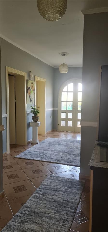 🟢 VENDESI CASA + AMBIENTE COMMERCIALE, IBË E SOPRAVVISSIMA!