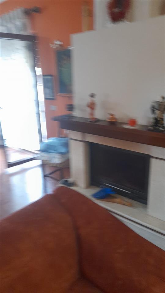 SHESIM SHPI 388 M² AFER KRYEGJYSHATES!
