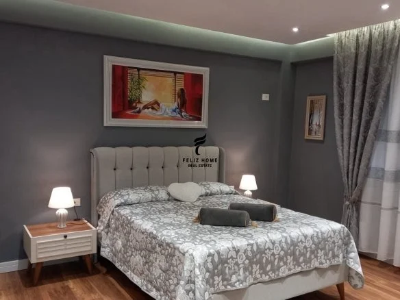 Tirana, Apartment for Rent 1+1+Balcony, 6th Floor, 70 m², €650 (Block)