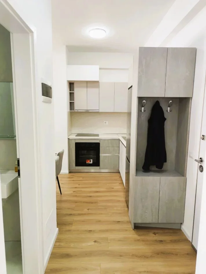 Tirane, Apartment for Rent 1+1, 3rd Floor, 60 m², €400 (FRESH)