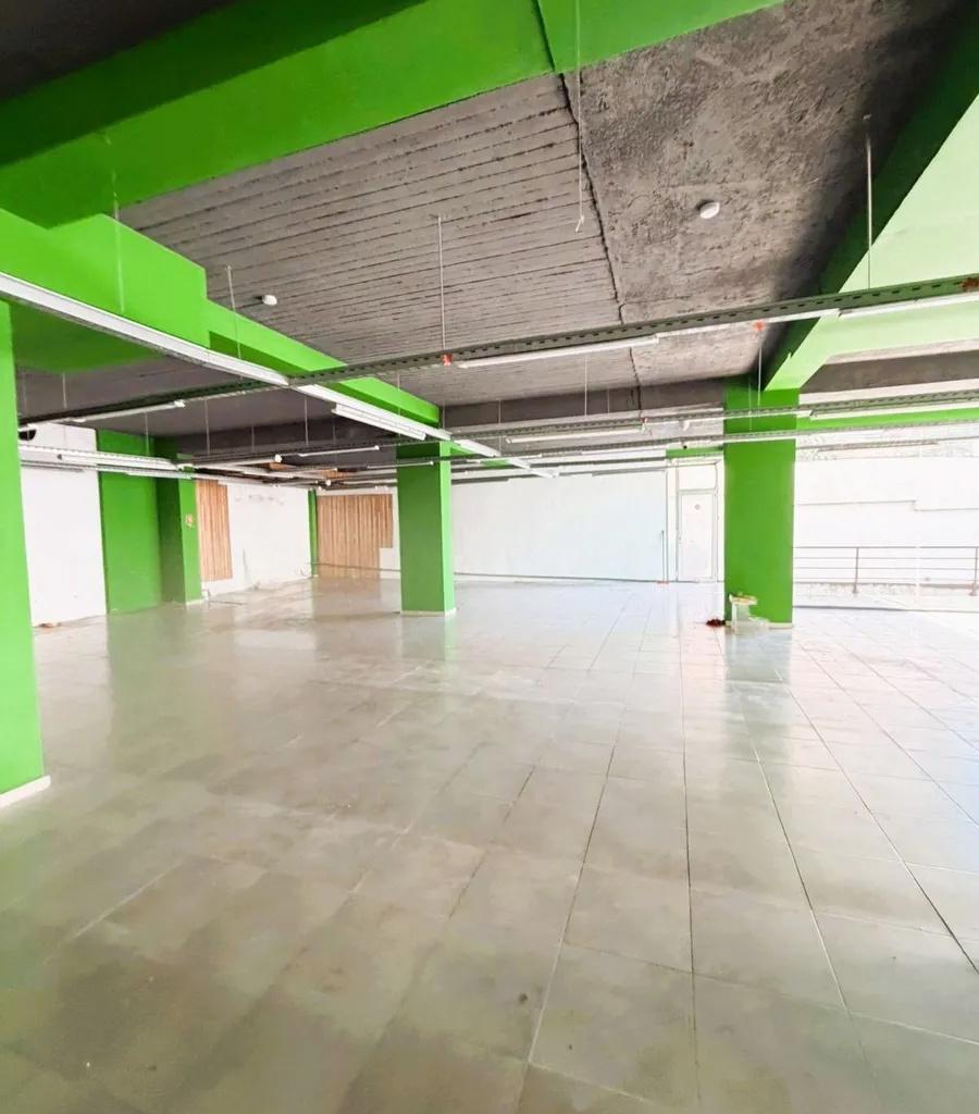 🏢 Jepet Ambient Biznesi me Qira te Eleonora, Kodra e Dielli