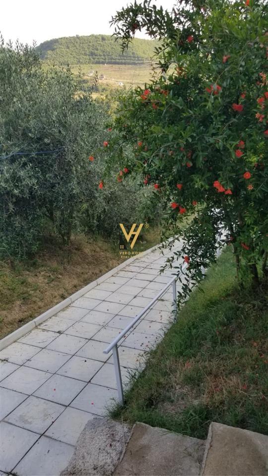 Private House for Rent 2+1 with Yard in Picalle 600 Euro