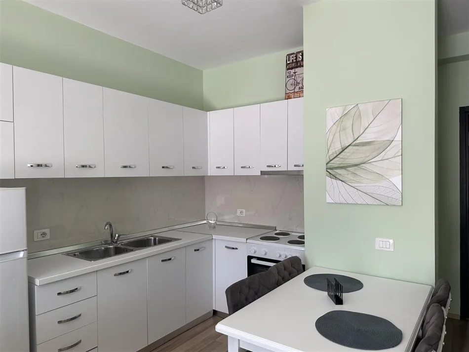 Tirane, Apartment for Rent 1+1, 3rd Floor, 66 m², 700 € (Toptani Shopping Center)