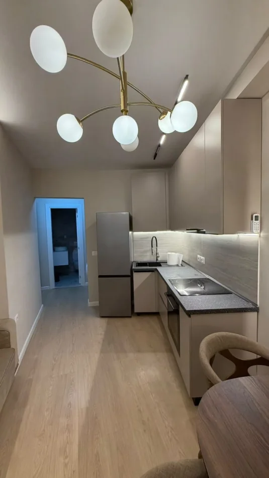 Tirane, apartment for rent 1+1 Second Floor, 70 m² 500 € (Brryli)