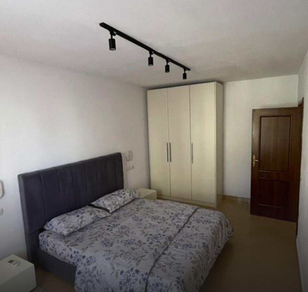 Apartment 2+1 Downtown