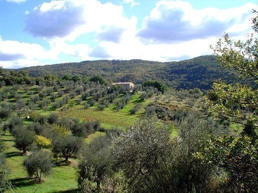 Villa di 300m2 in Tufina in vendita a 600.000 euro