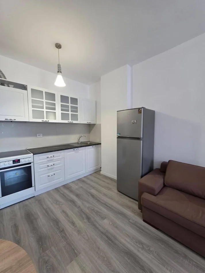 Tirane, apartment for rent 1+1, 4th Floor, 60 m², €550 (Dritan Hoxha Street)