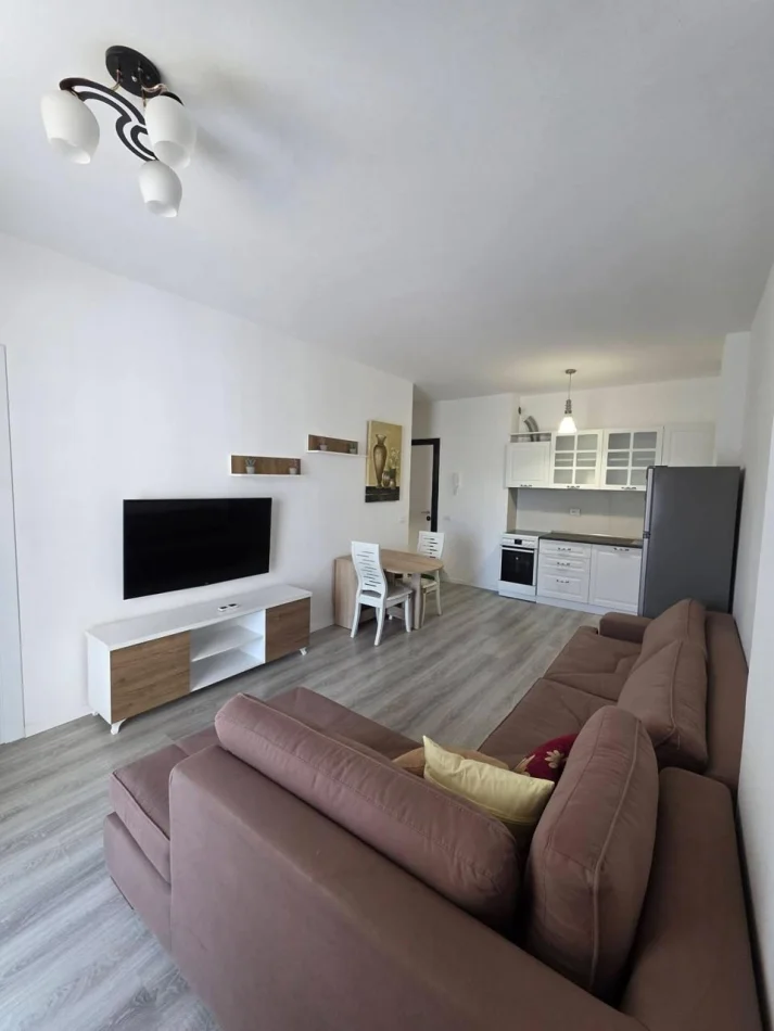 Tirane, apartment for rent 1+1, 4th Floor, 60 m², €550 (Dritan Hoxha Street)