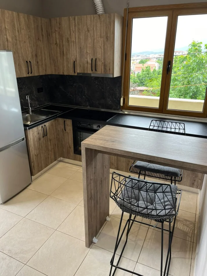Tirane, Apartment for Rent 1+1, Second Floor, 60 m² (Student City)